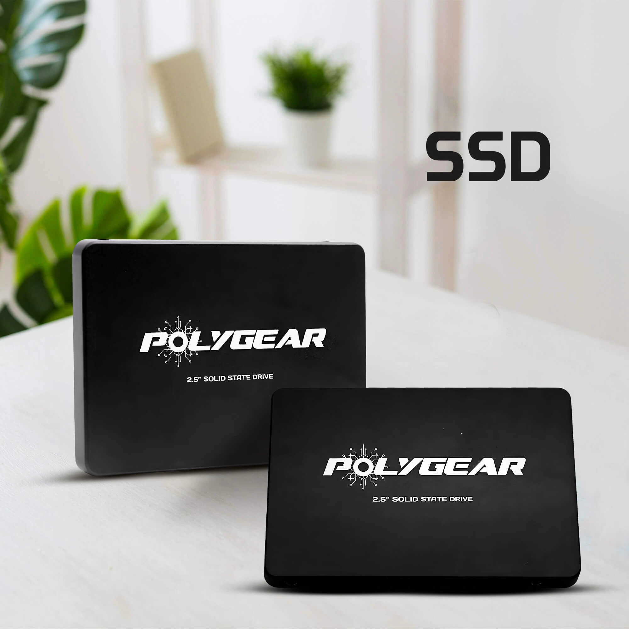 Internal SSD Polygear